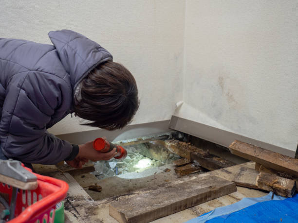 Best Mold Remediation for Healthcare Facilities  in Brightwood, VA