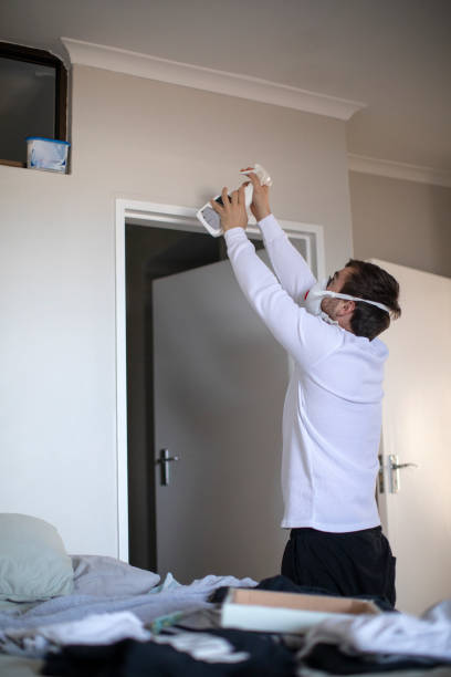 Best Mold Removal for HVAC Installations  in Brightwood, VA