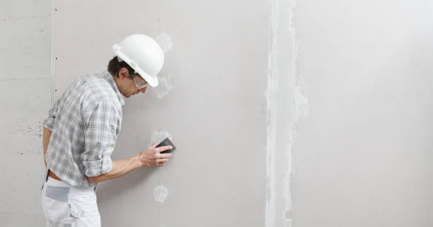 Best Water Damage & Mold Remediation  in Brightwood, VA