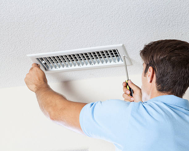 Best Forensic Mold Investigation  in Brightwood, VA
