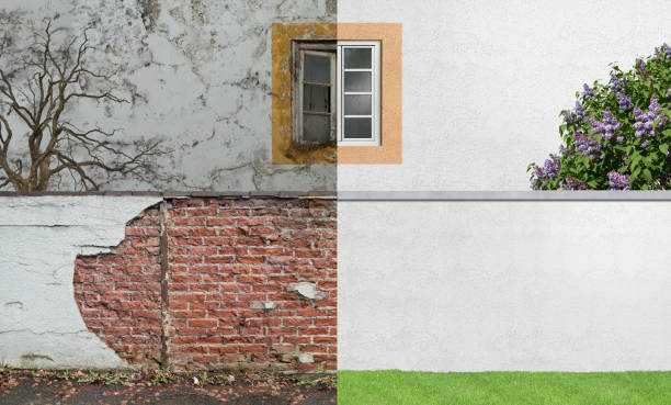 Best Post-Construction Mold Inspection  in Brightwood, VA