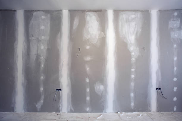 Best Commercial Mold Inspection  in Brightwood, VA